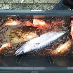 康仁丸・ジギング釣り果